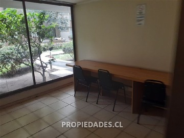 Imagen 11