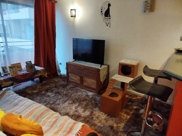 Arriendo Mensual / Departamento / Santiago