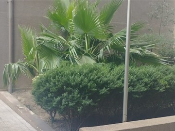Imagen 12