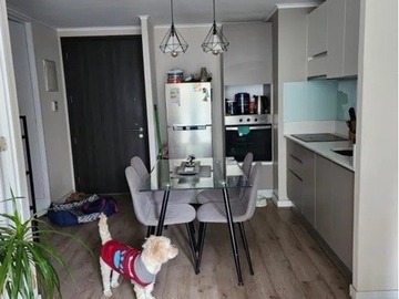 Arriendo Mensual / Departamento / Santiago