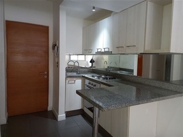 Arriendo Mensual / Departamento / Santiago