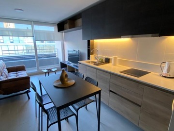 Arriendo Mensual / Departamento / Santiago