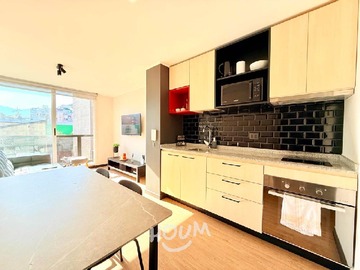 Arriendo Mensual / Departamento / Santiago