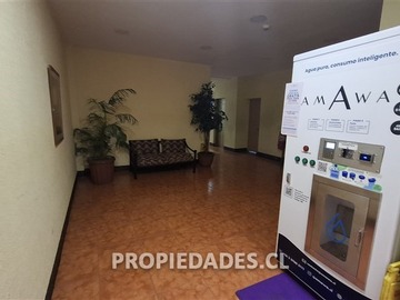Imagen 10