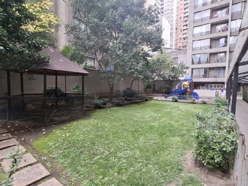 Imagen 7