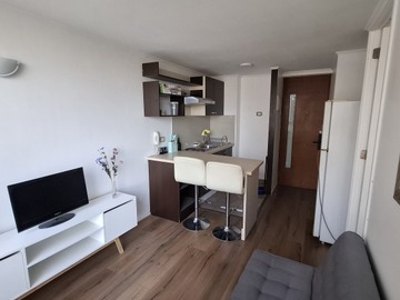 Arriendo Mensual / Departamento / Santiago
