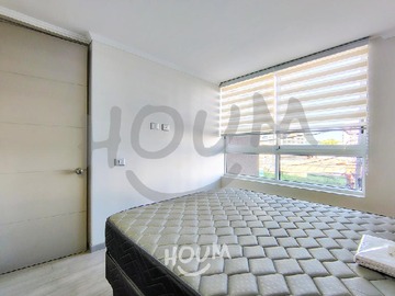 Imagen 11