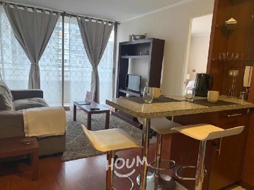 Arriendo Mensual / Departamento / Santiago