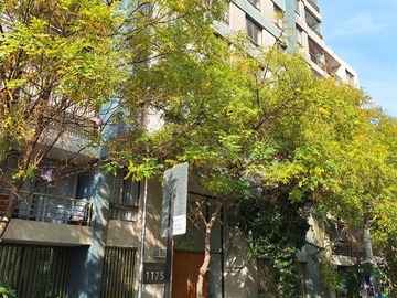 Imagen 21