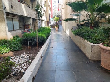 Imagen 8