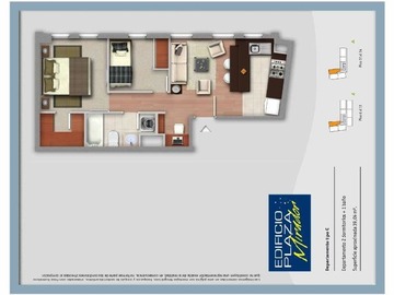 Imagen 12