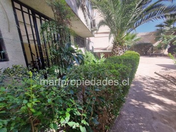 Imagen 11