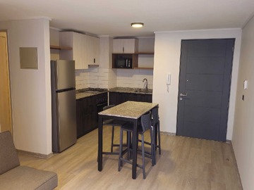 Arriendo Mensual / Departamento / Santiago