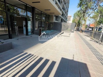 Imagen 19