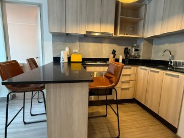 Arriendo Mensual / Departamento / Santiago