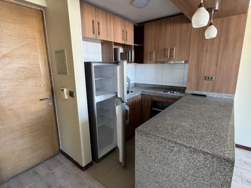 Arriendo Mensual / Departamento / Santiago