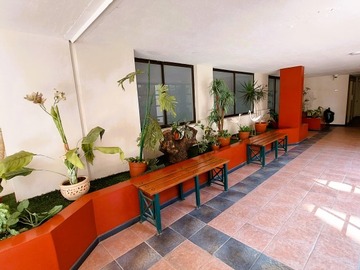 Imagen 14