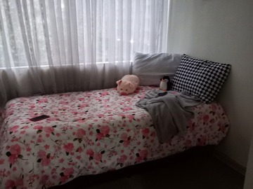 Imagen 9