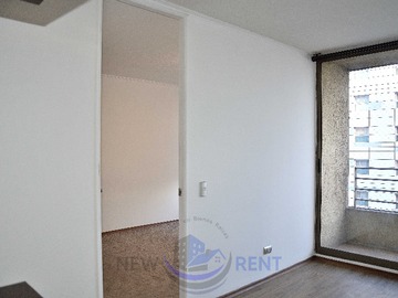 Imagen 11