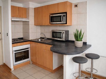 Arriendo Mensual / Departamento / Santiago
