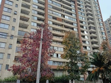 Imagen 20