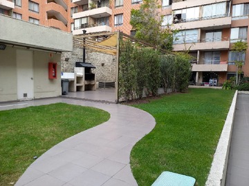 Imagen 10