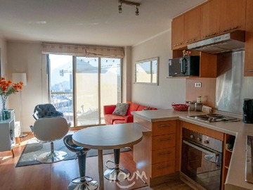 Arriendo Mensual / Departamento / Santiago