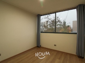 Imagen 11