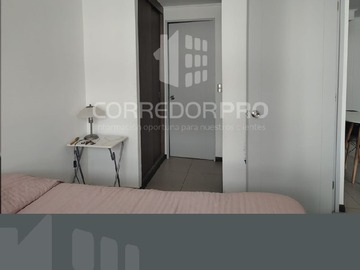 Imagen 11