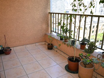 Imagen 6
