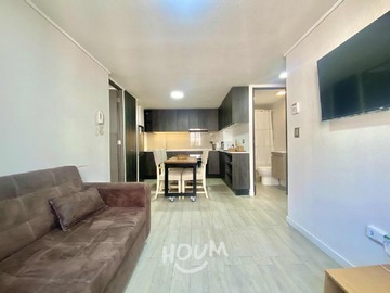 Arriendo Mensual / Departamento / Santiago
