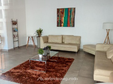 Imagen 20