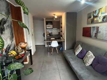 Arriendo Mensual / Departamento / Santiago