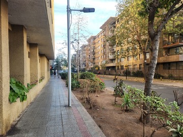 Imagen 16