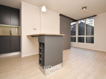 Arriendo Mensual / Departamento / Santiago