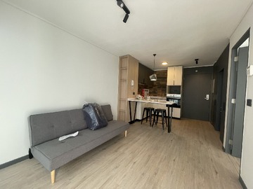 Arriendo Mensual / Departamento / Santiago