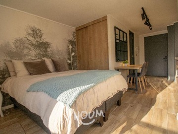 Arriendo Mensual / Departamento / Santiago