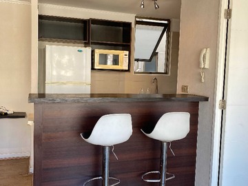 Arriendo Mensual / Departamento / Santiago