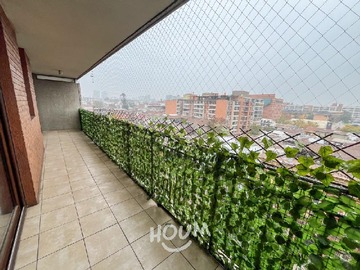 Imagen 19