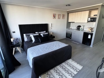 Arriendo Mensual / Departamento / Santiago