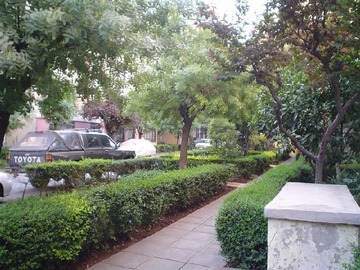 Imagen 8