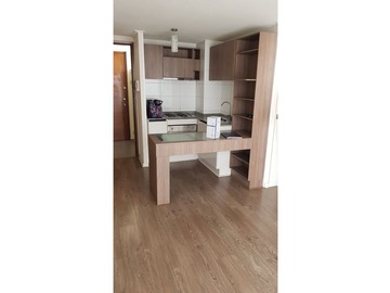 Arriendo Mensual / Departamento / Santiago