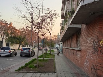 Imagen 20