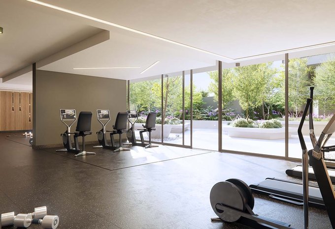 Gimnasio