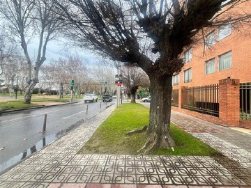 Imagen 23