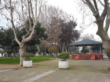Imagen 6