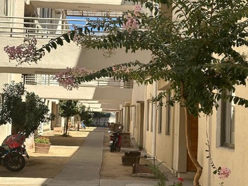 Arriendo Mensual / Departamento / Talca