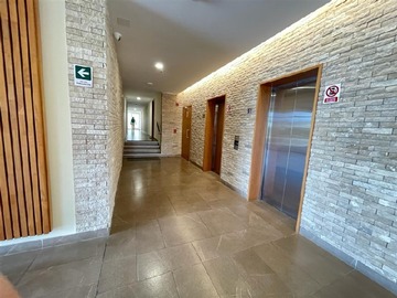 Imagen 11
