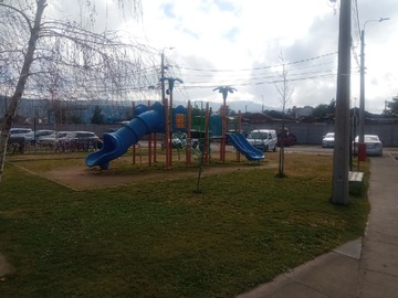 Imagen 11