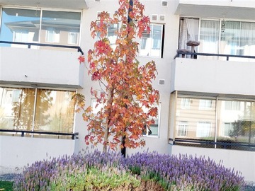 Arriendo Mensual / Departamento / Talca